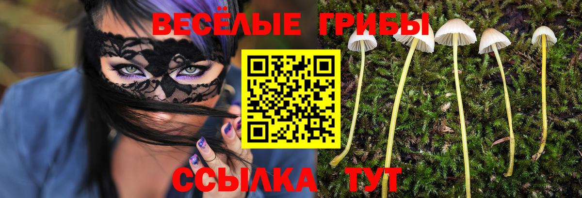Галлюциногенные грибы Psilocybine cubensis Тихорецк